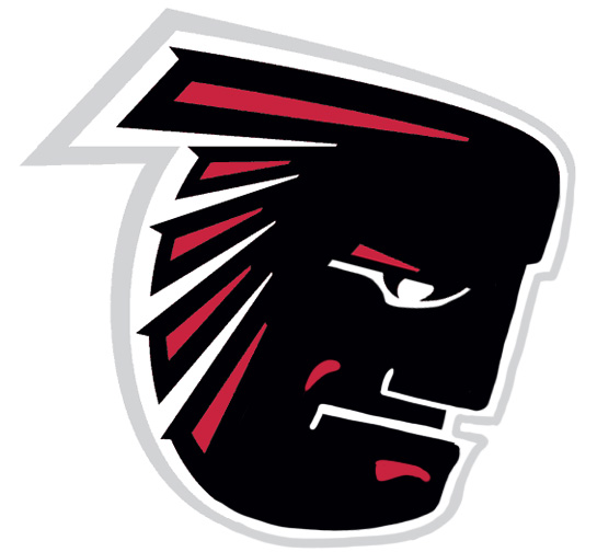 Atlanta Falcons Manning Face Logo fabric transfer